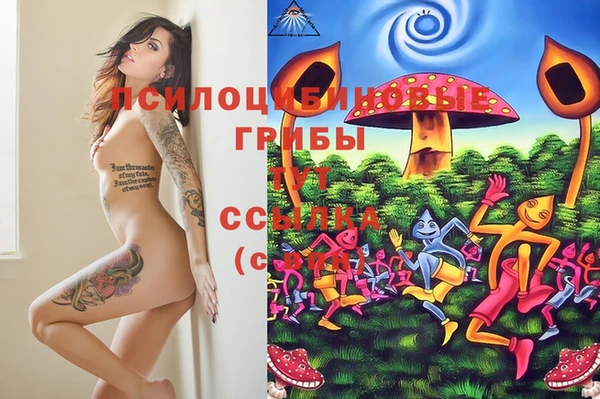 синтетический гашиш Балахна
