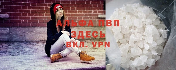 стафф Бородино