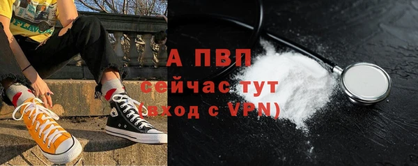 стафф Бородино