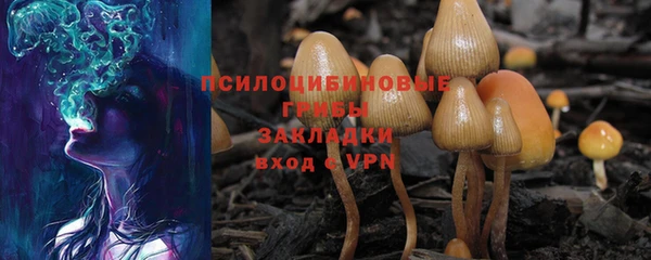 дмт Балабаново